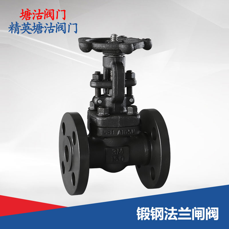 鍛鋼法蘭閘閥